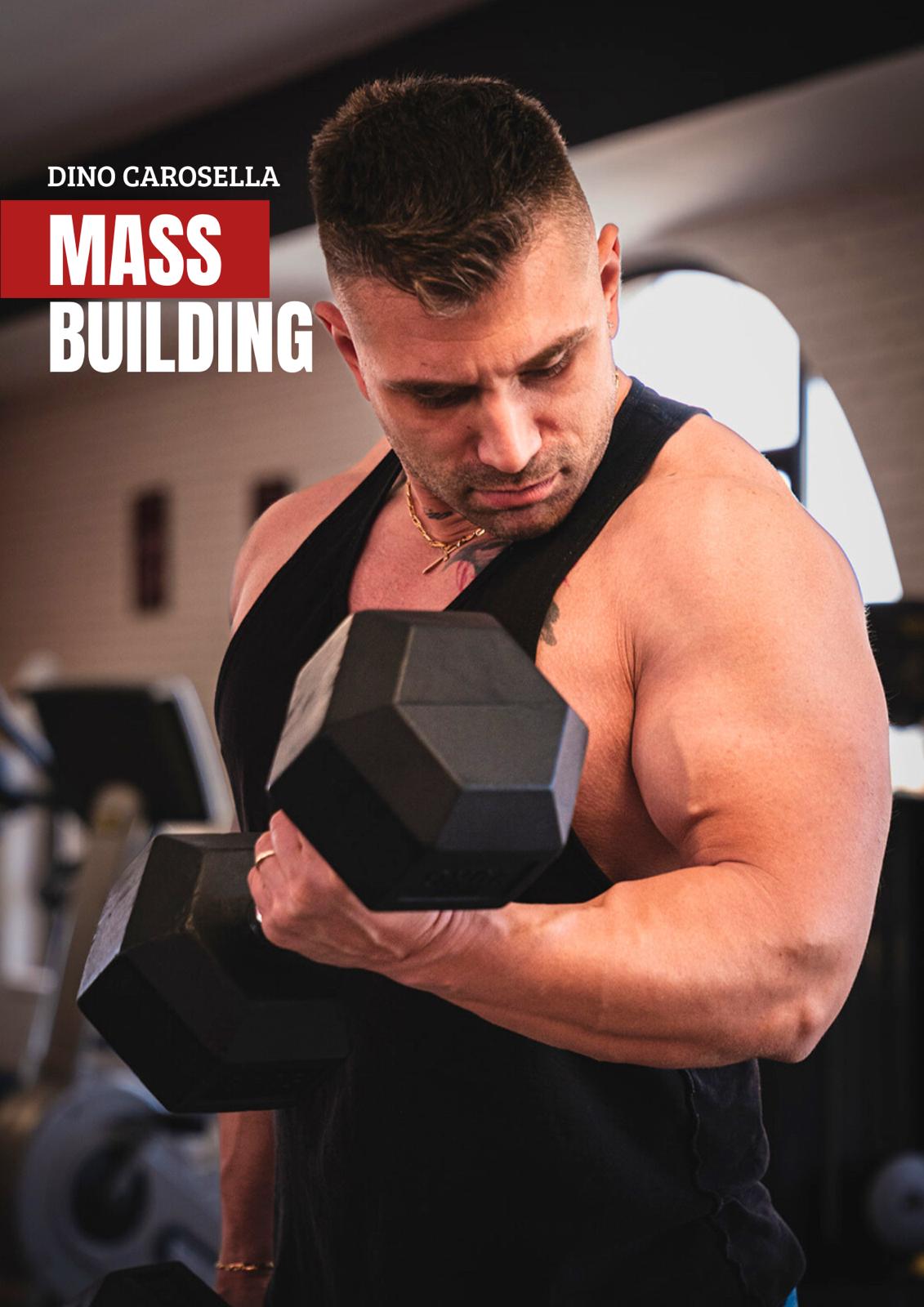 Mass Building